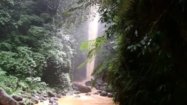 Waterfall video 24